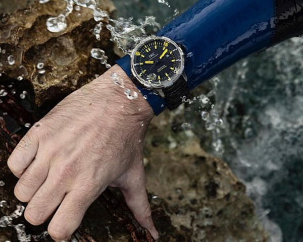 IWC守護海洋