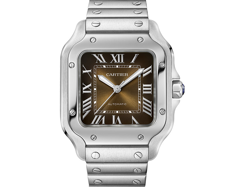 Cartier WSSA0065