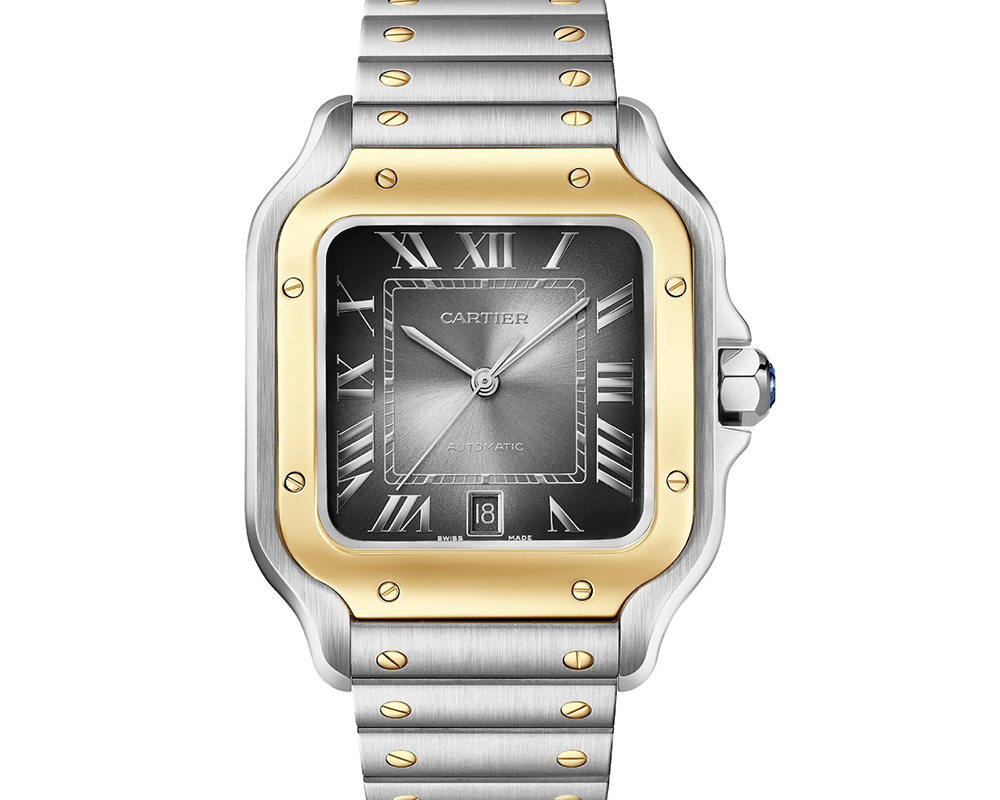 Cartier W2SA0030